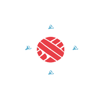 Wave Nomad Surf