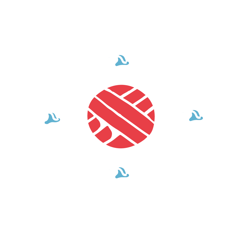 Wave Nomad Surf