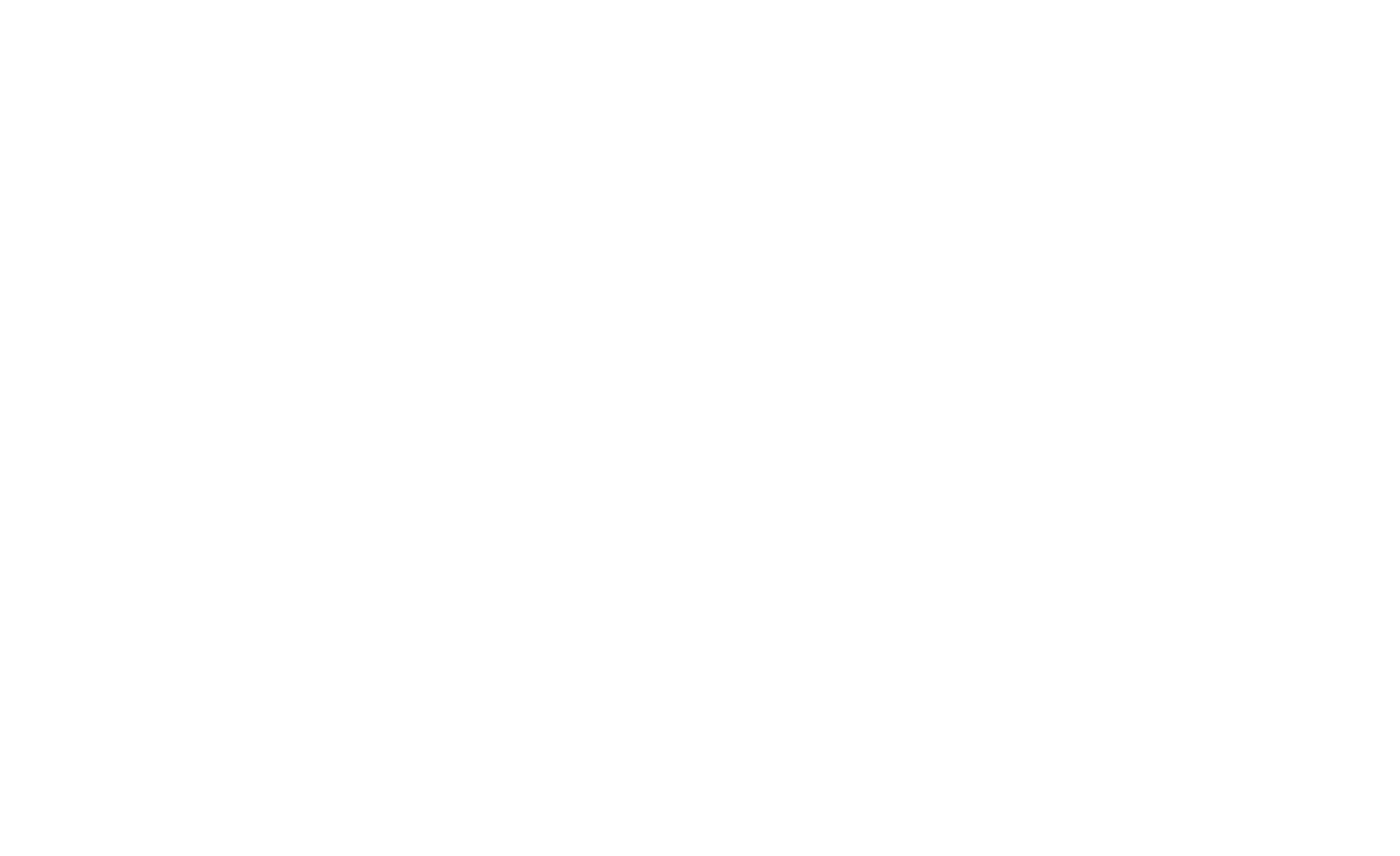 wave nomad surf logo